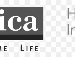 amica mutual term life insurance