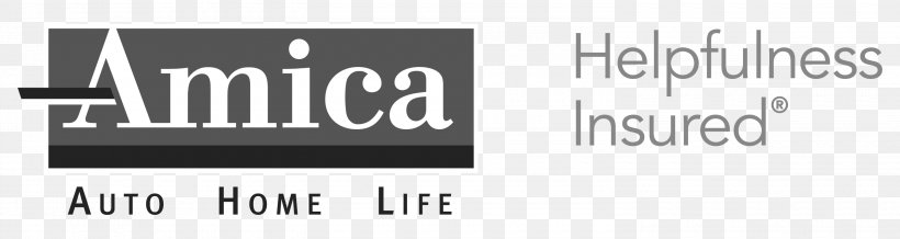 Featured image for amica mutual term life insurance