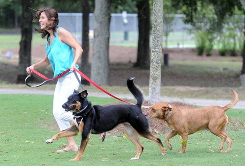 Featured image for best pet insurance in rhode island