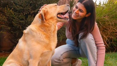 Content image for best pet insurance in rhode island