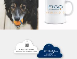 best pet insurance figo