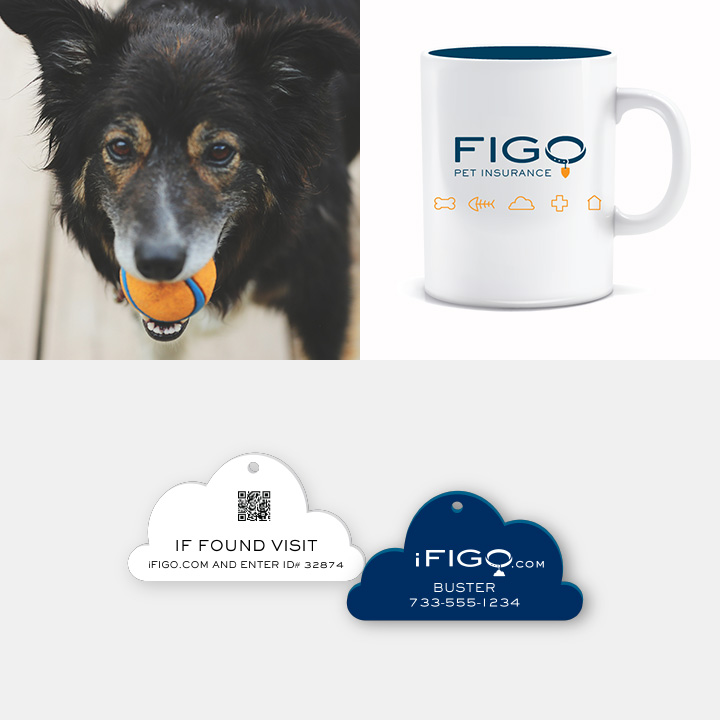 Featured image for best pet insurance figo