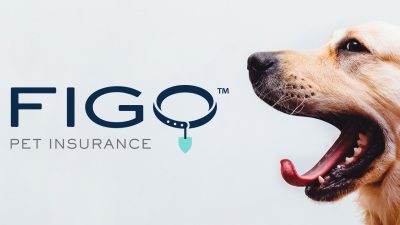 Content image for best pet insurance figo