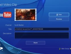 playstation sofware