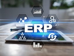 sofware erp