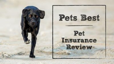 Content image for pets best insurance bbb