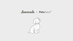 Featured image for lemonade vs pets best insurance