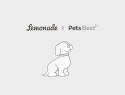 lemonade vs pets best insurance
