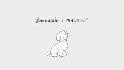 Featured image for lemonade vs pets best insurance