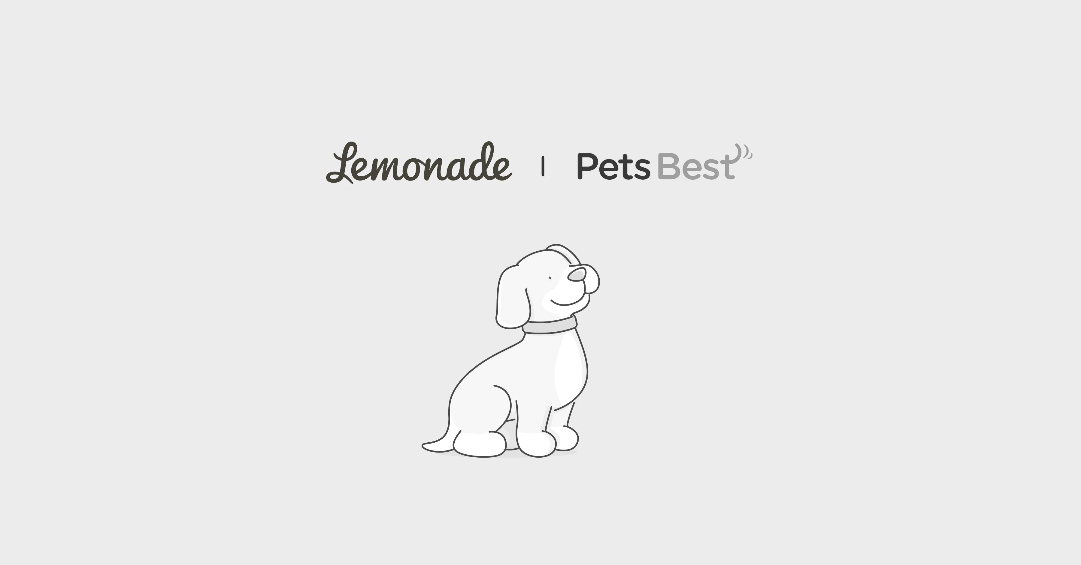 Featured image for lemonade vs pets best insurance