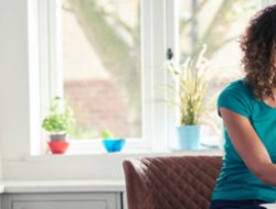 plymouth rock renters insurance