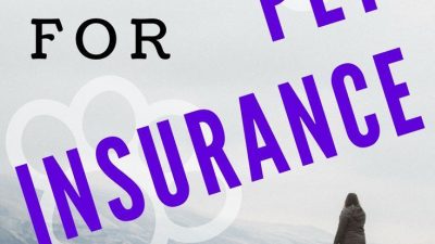 Content image for pet's best health insurance