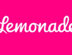 lemonade home insurance review