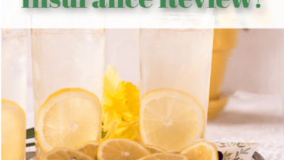 Content image for lemonade home insurance review
